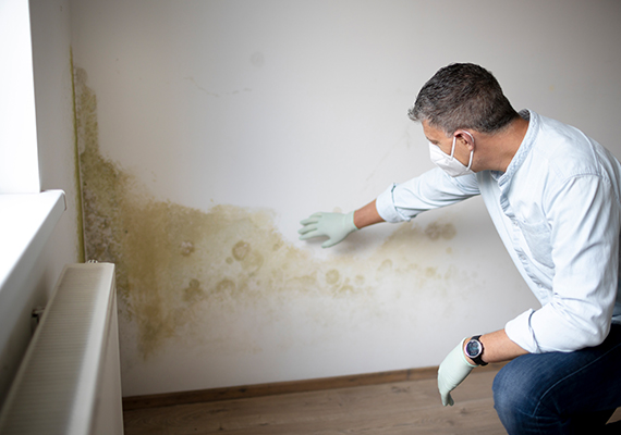 Damp Proofing Solutions